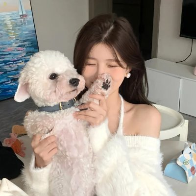 机动组第一季